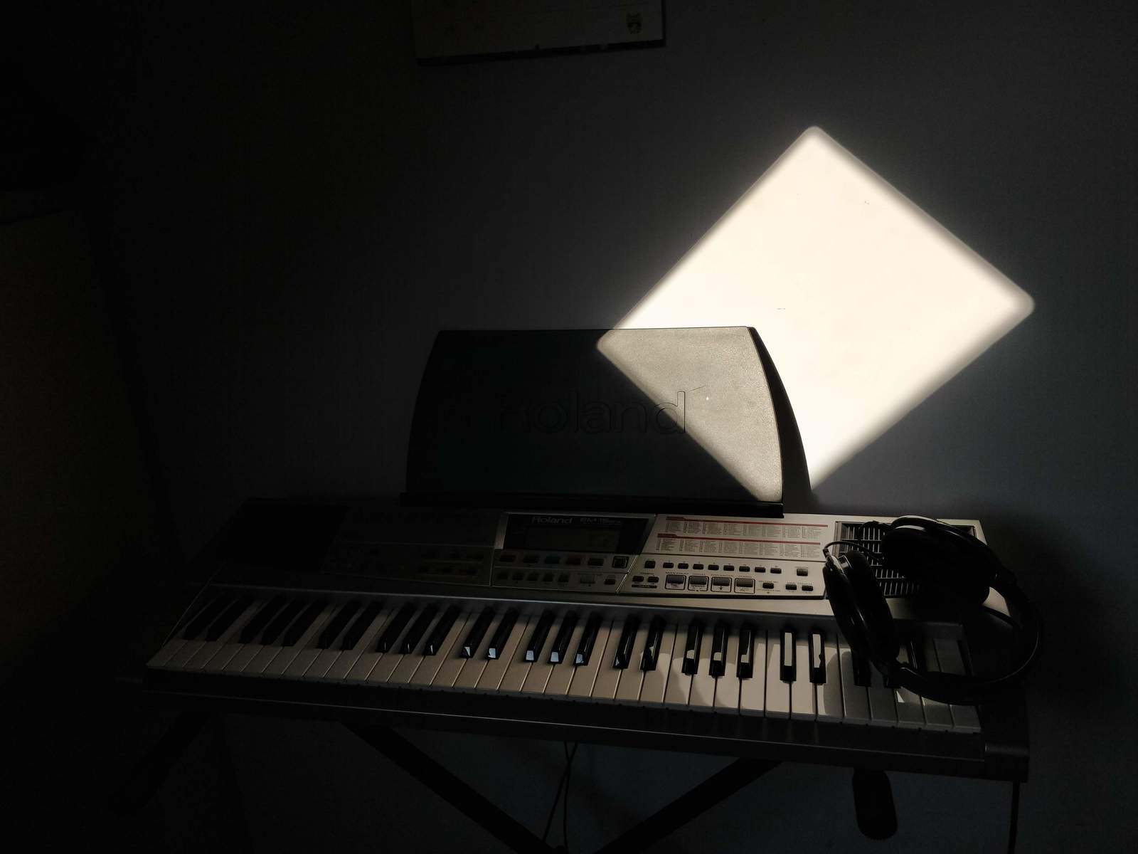 maxicardozok's music gear photo