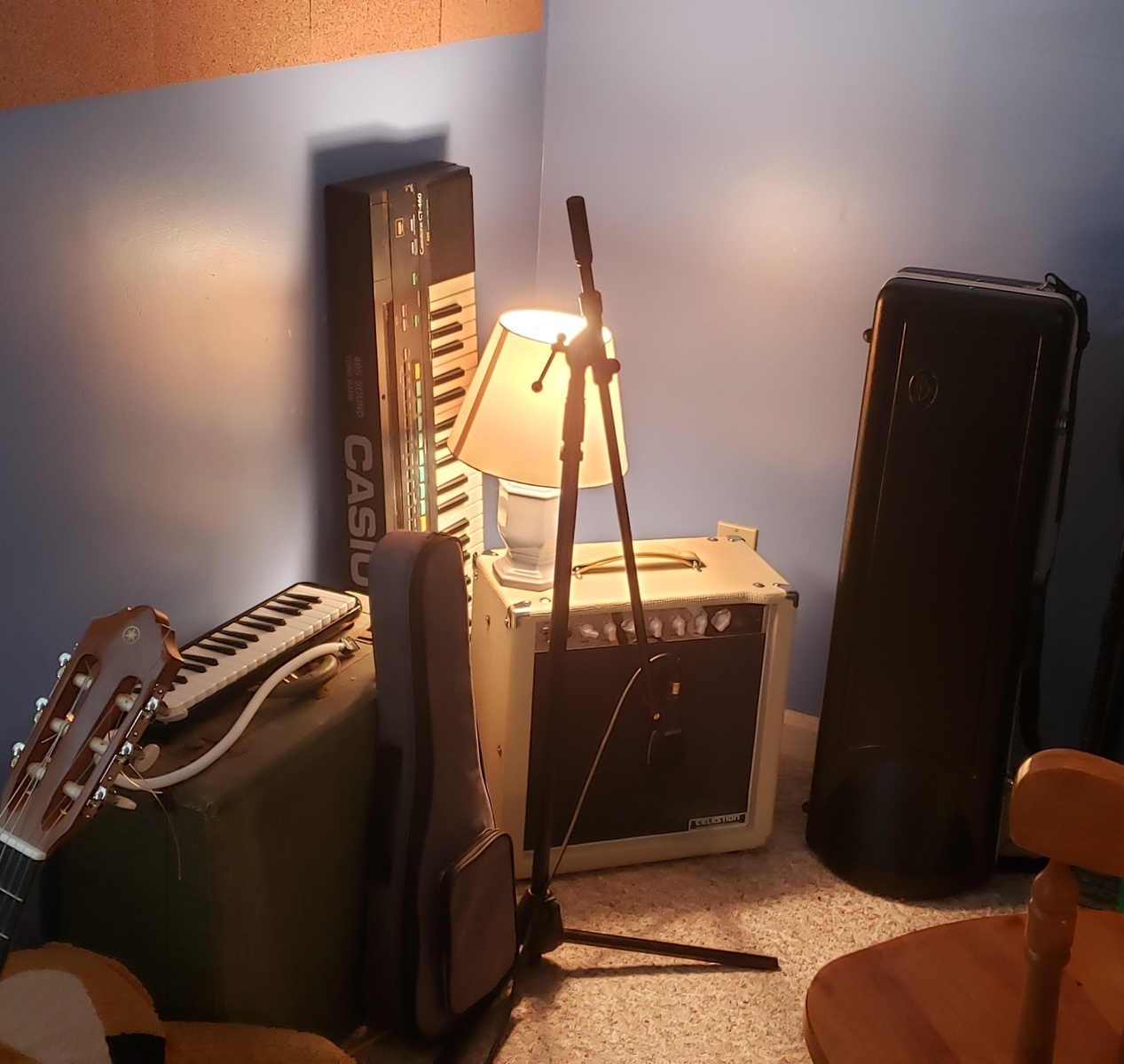 defectivedopamine's music gear photo