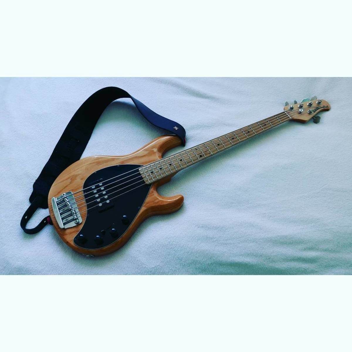 Metal Music Gear Setup by meerootz featuring Music Man Stingray 5