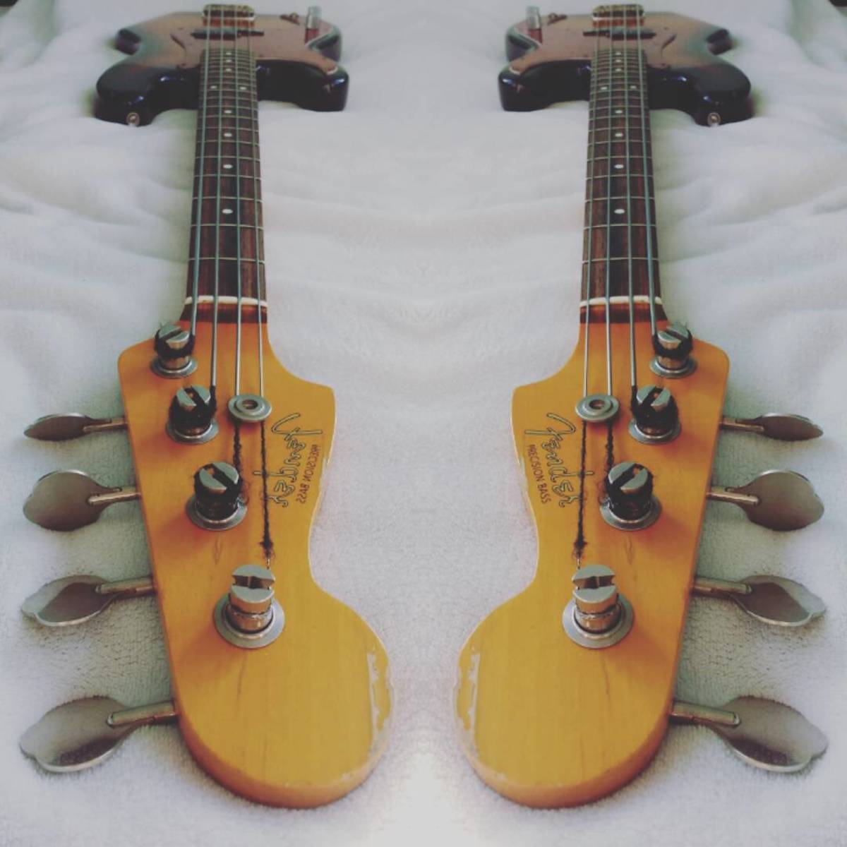 Music Gear Setup by meerootz featuring Fender Precision Bass