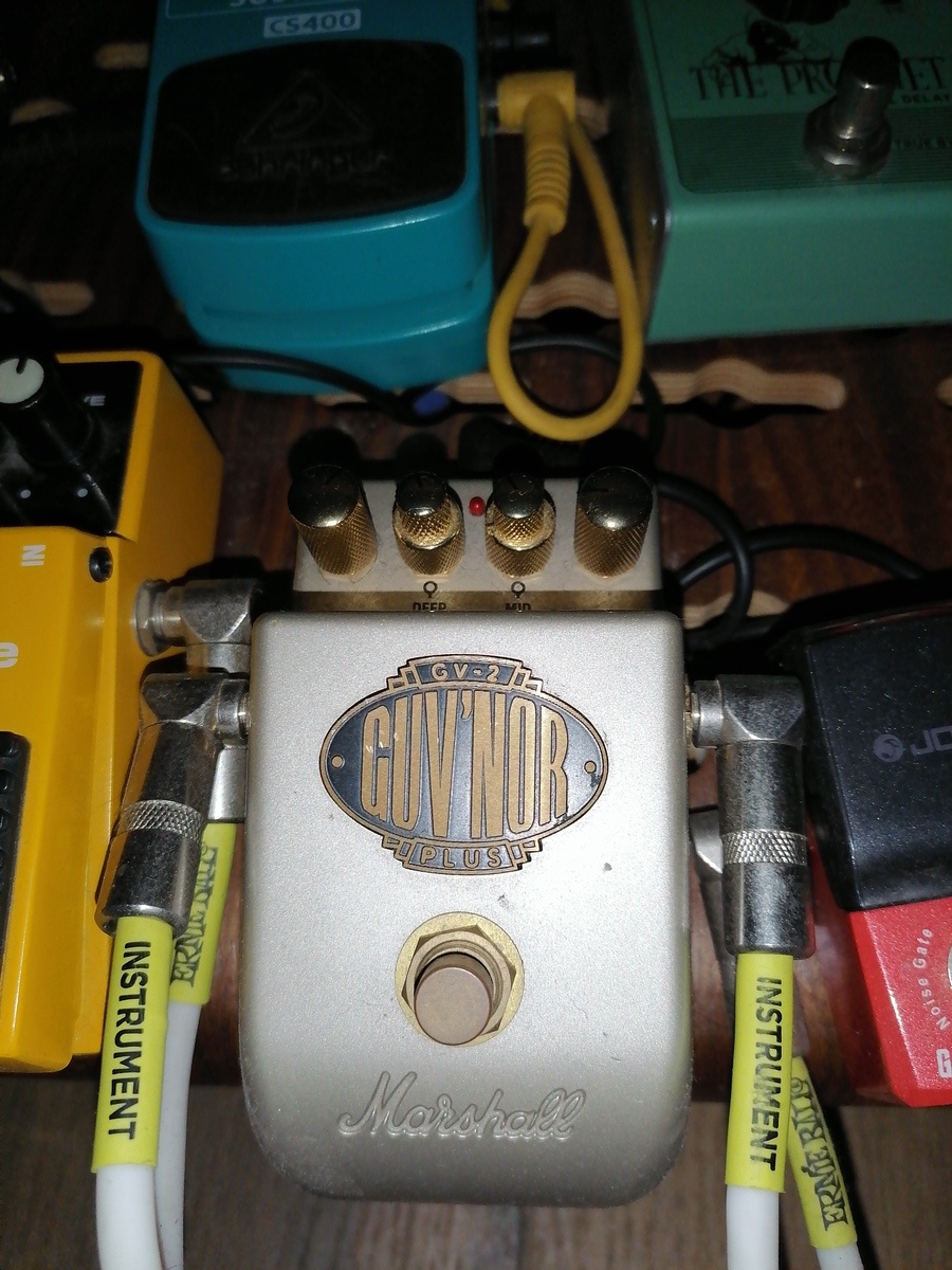 garrobo's music gear photo