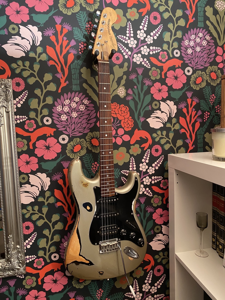 mayo_mayone's music gear photo