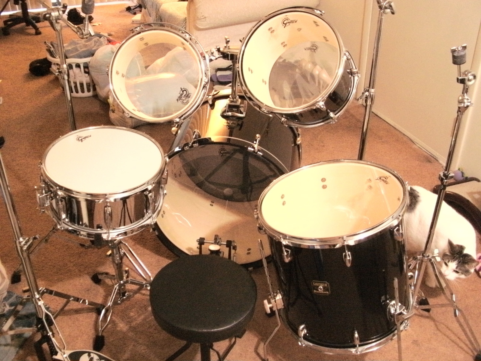 salemazraelquinn's music gear photo