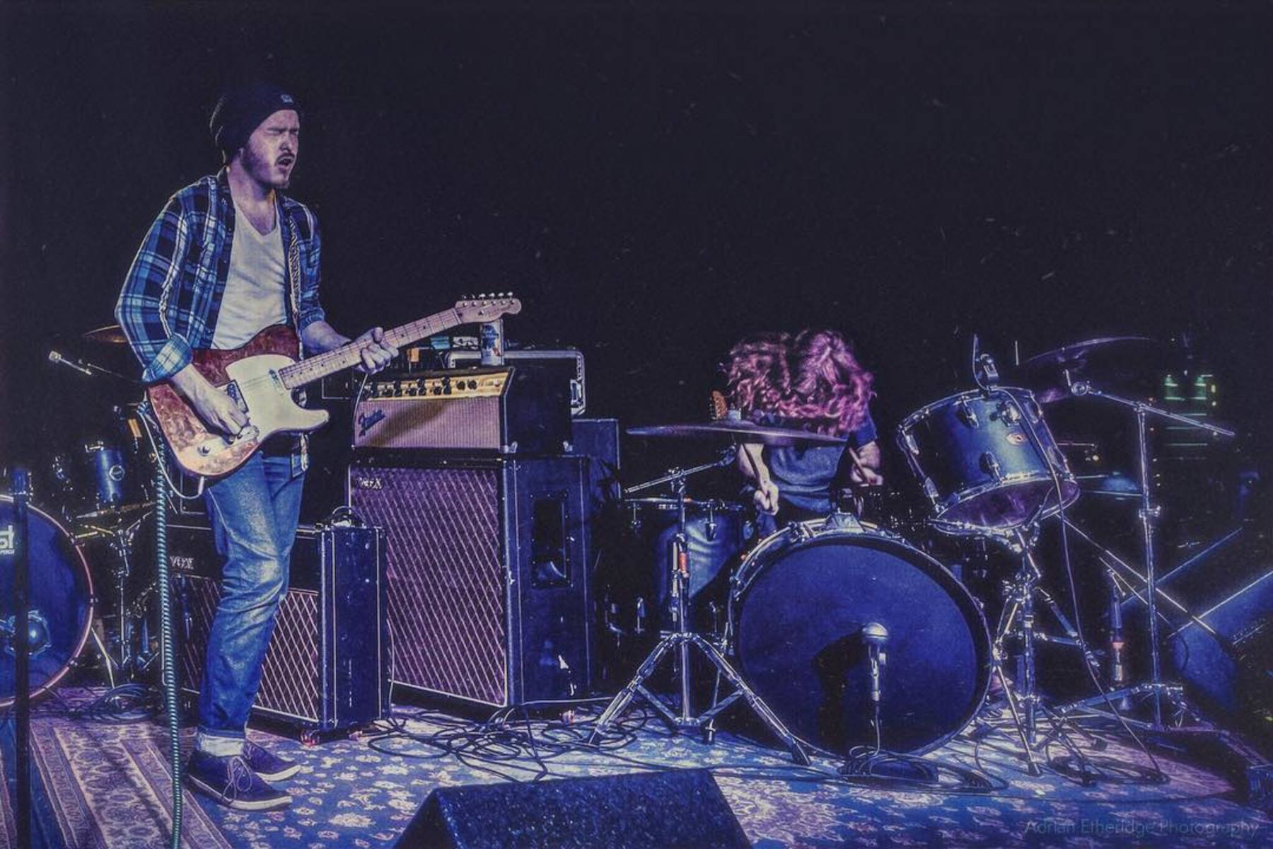 oldfuzzhead's music gear photo
