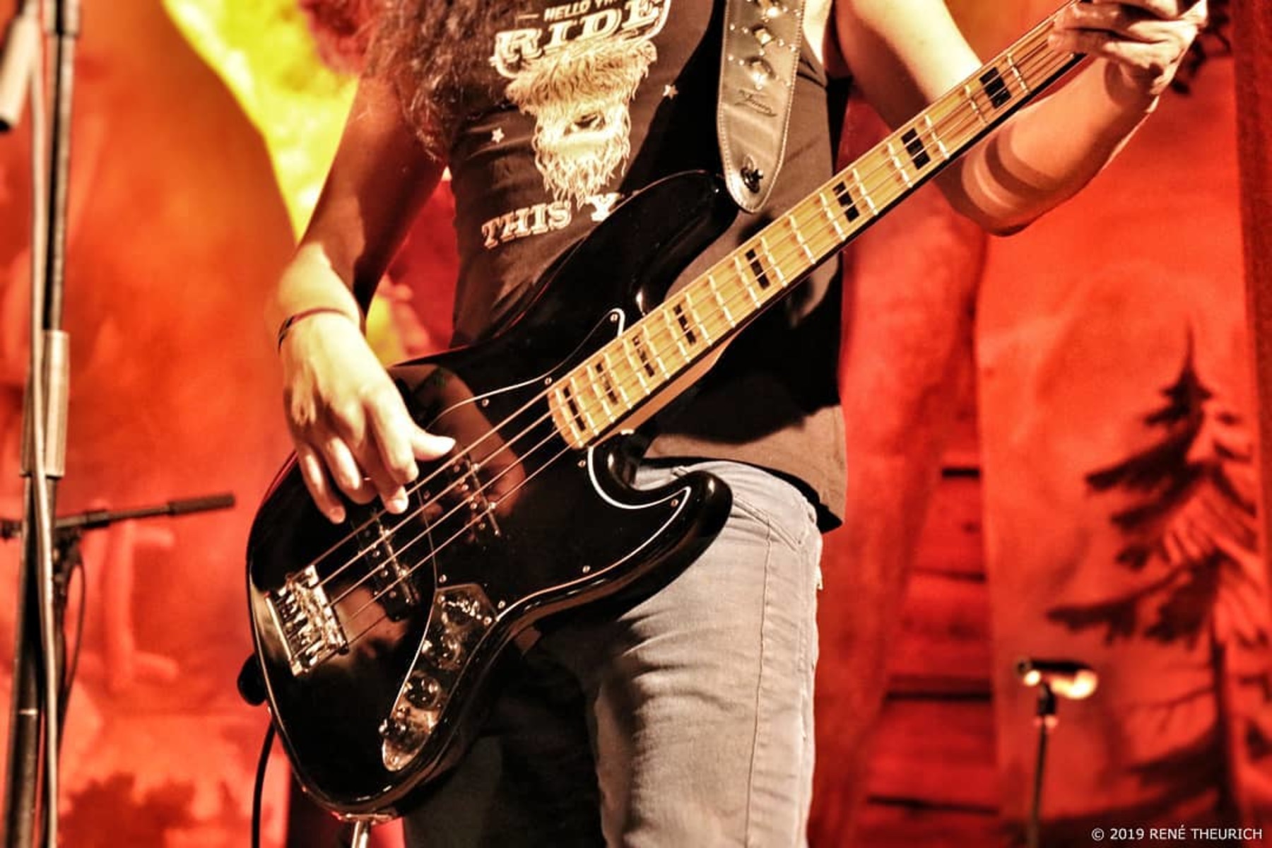 william_suarez's music gear photo