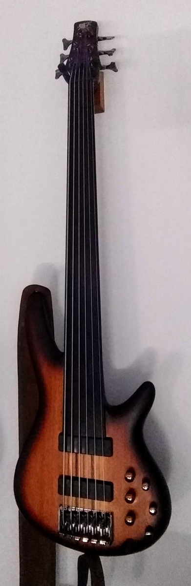 Music Gear Setup by thedawnretreat featuring Ibanez SRF706