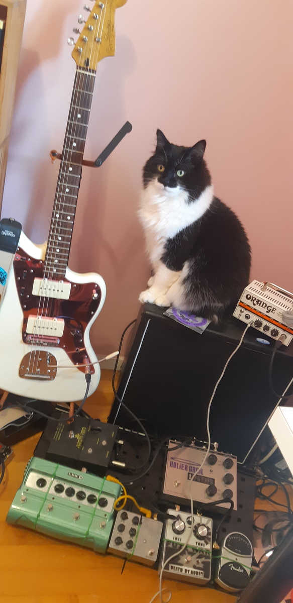 foldered's music gear photo