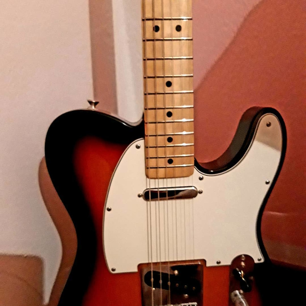 ares_signorello's music gear photo