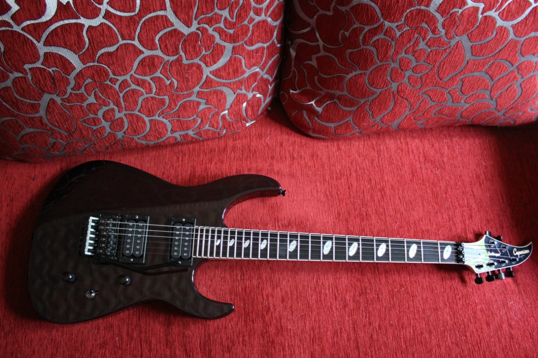 Music Gear Setup by yuriy_maslyaninov featuring Caparison Dellinger II