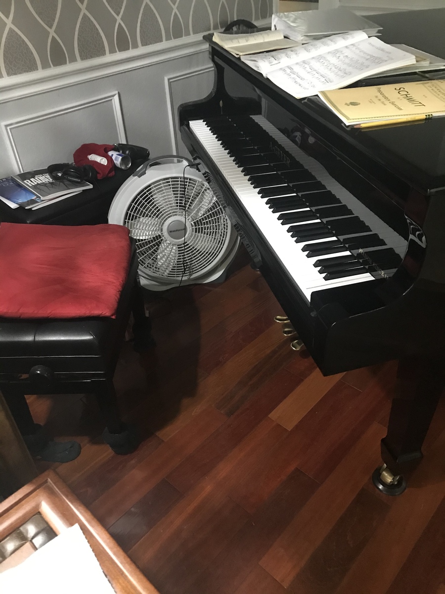 dan_brunton's music gear photo
