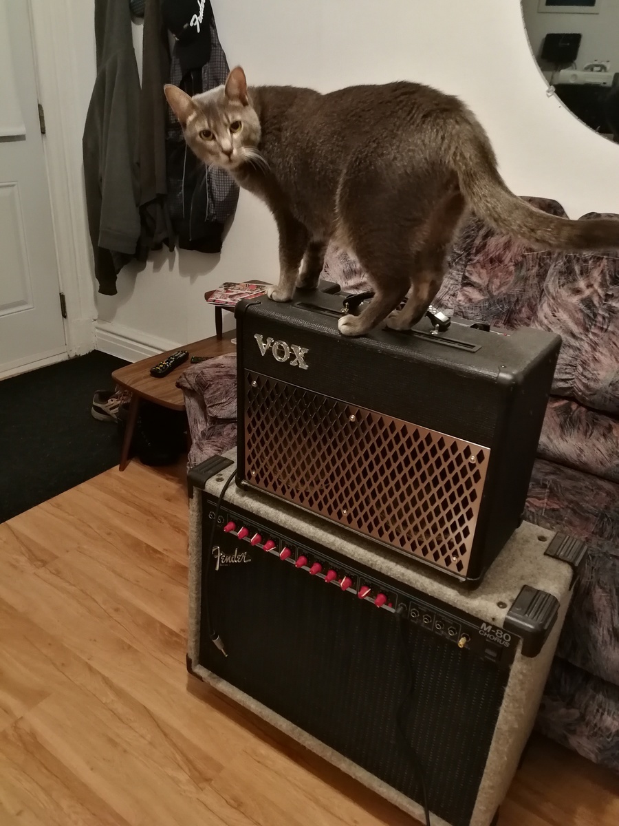 danypage's music gear photo