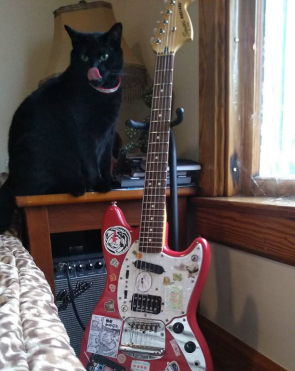Music Gear Setup by allan_teran featuring Squier Vintage Modified Mustang