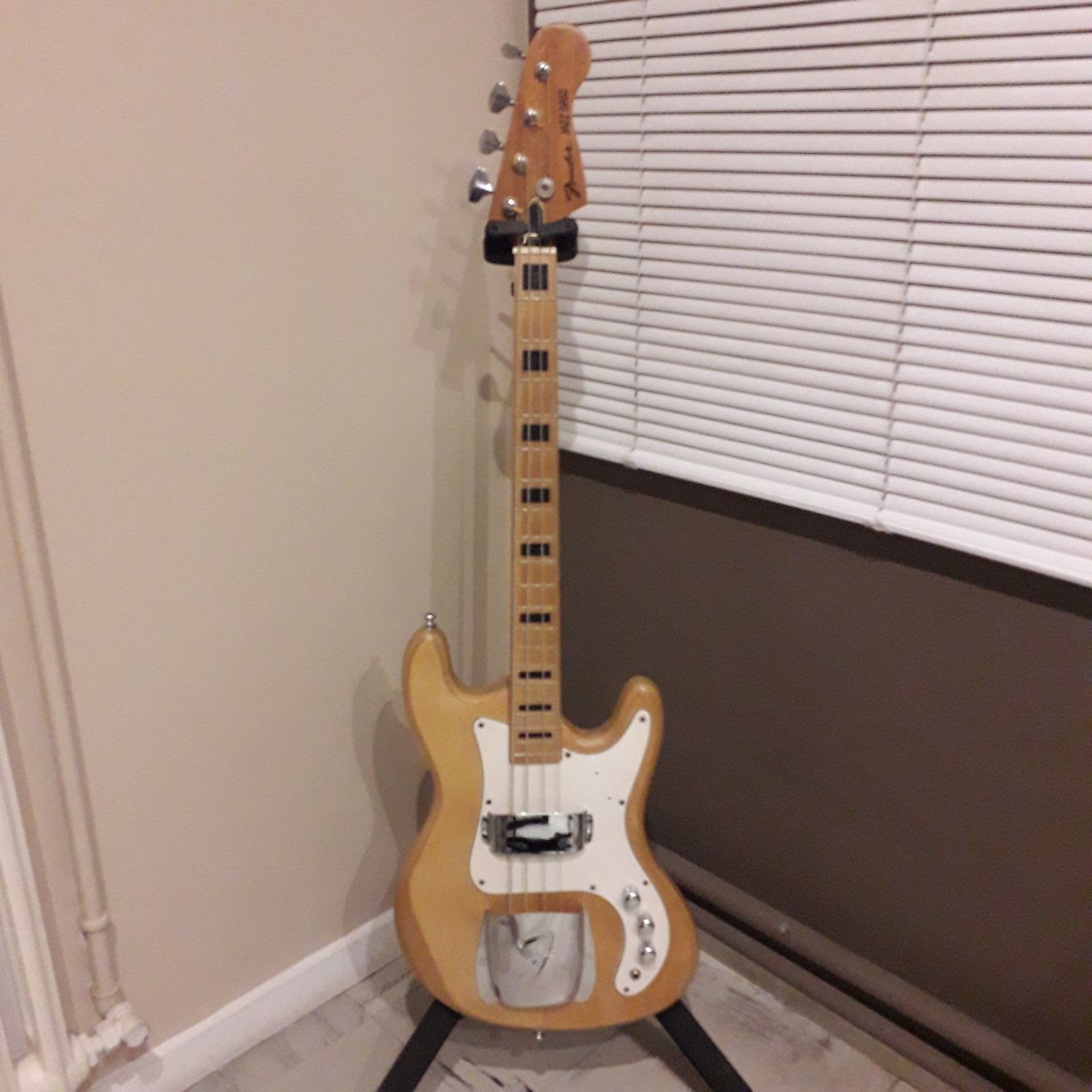 Music Gear Setup by johann_kirnberg featuring Fender Jazz Bass