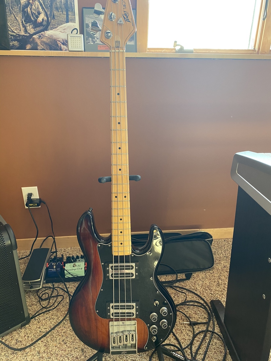 lance_wendlandt's music gear photo