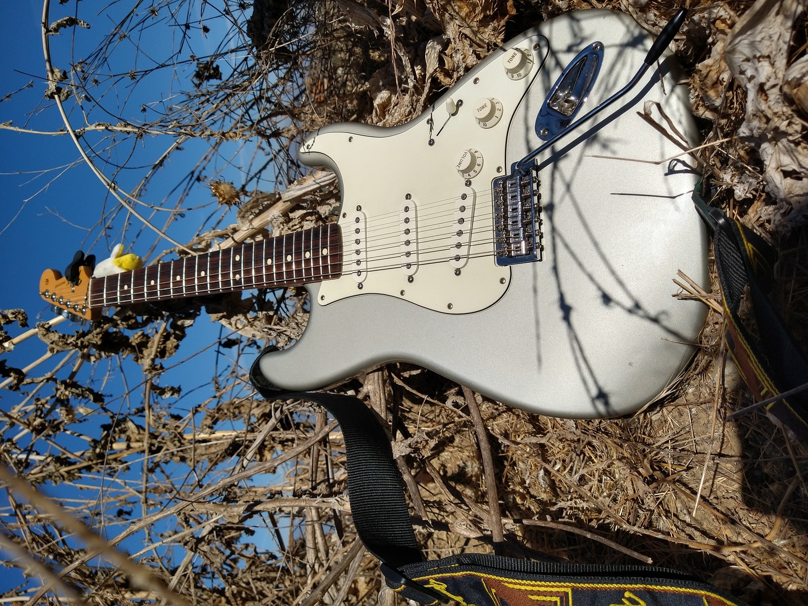 Music Gear Setup by alex_espinoza featuring Fender Stratocaster MIM