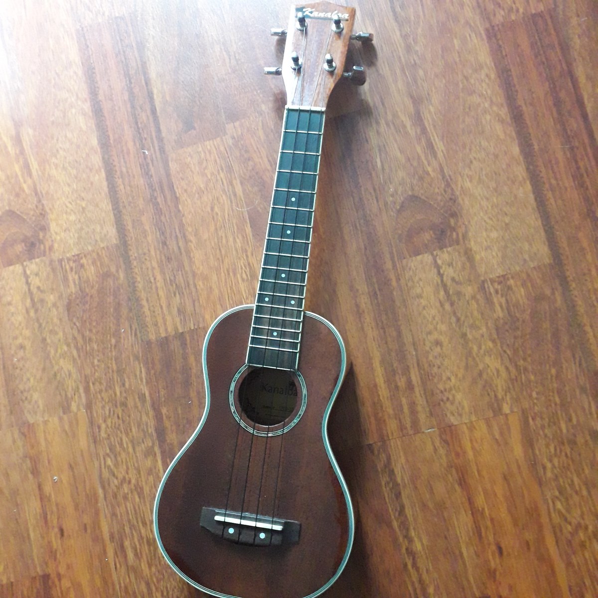 johann_kirnberg's music gear photo