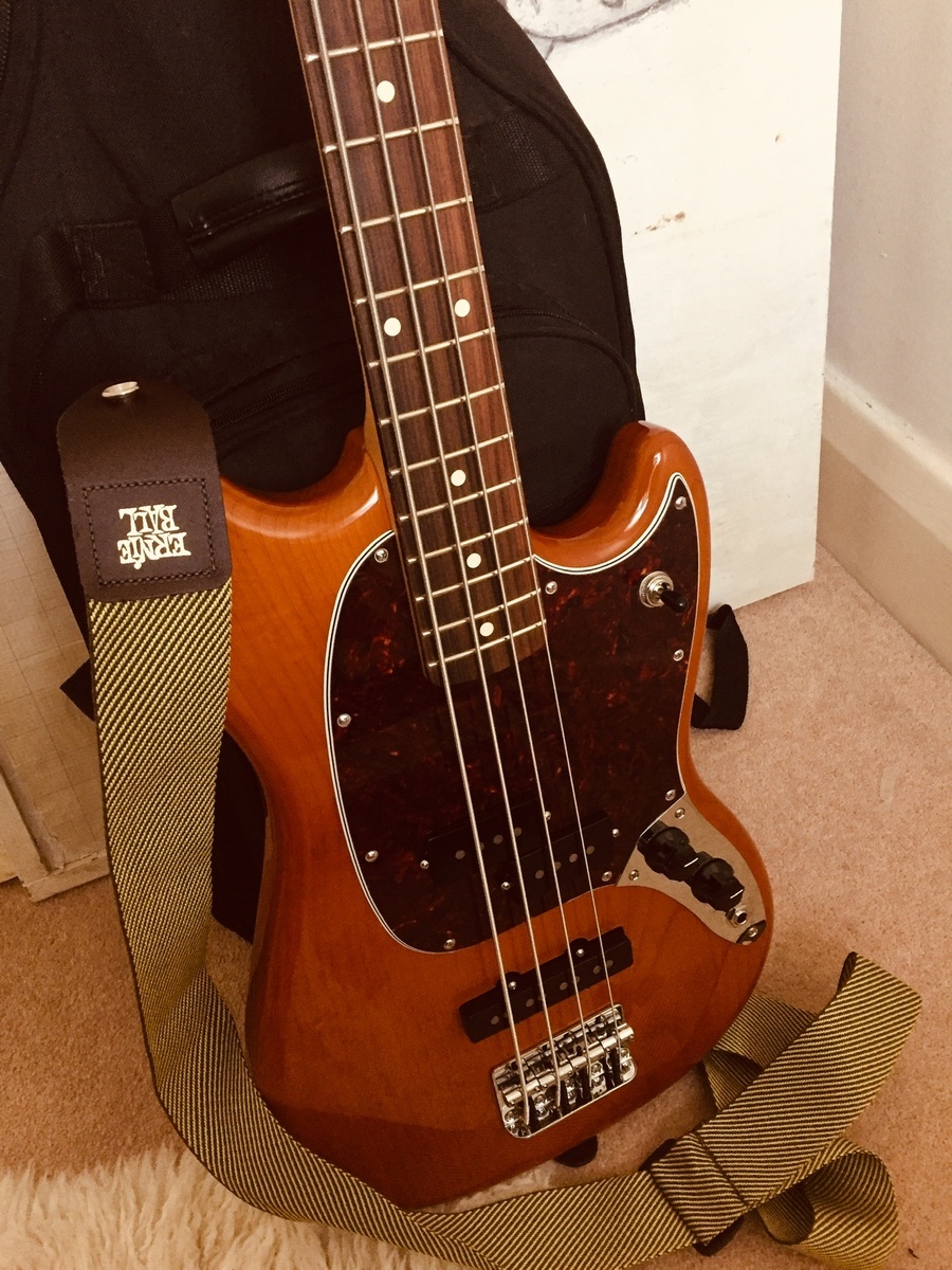 Music Gear Setup by giles_littleford featuring Fender Mustang PJ Bass