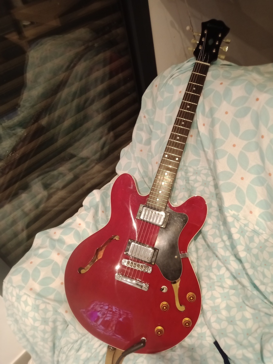 Country Music Gear Setup by gabriel_binche featuring Epiphone Dot
