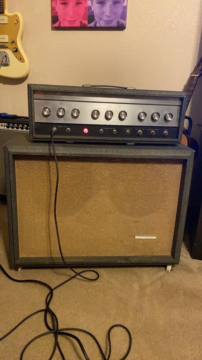 Music Gear Setup by dgdave featuring Silvertone 1484 Twin Twelve