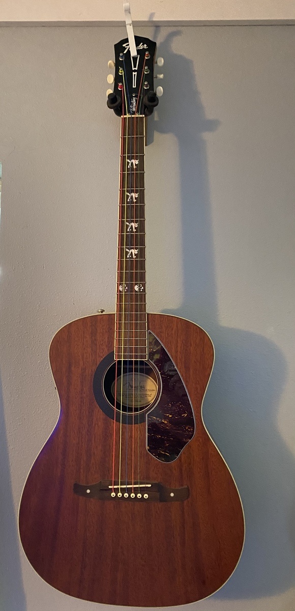 Music Gear Setup by bcmessplay featuring Fender Tim Armstrong Hellcat