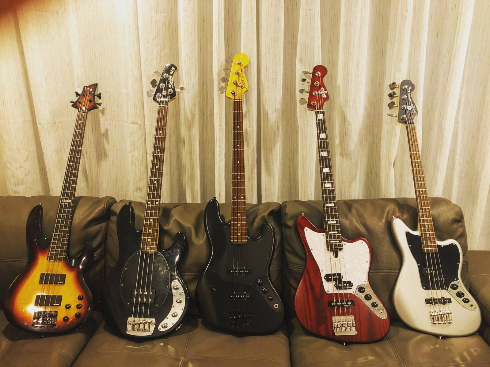 Music Gear Setup by sonny_letourneau featuring Squier Jaguar Vintage Modified Short Scale Bass, Fender Jazz Bass, and Sterling by Music Man Ray34 and 2 more pieces of gear