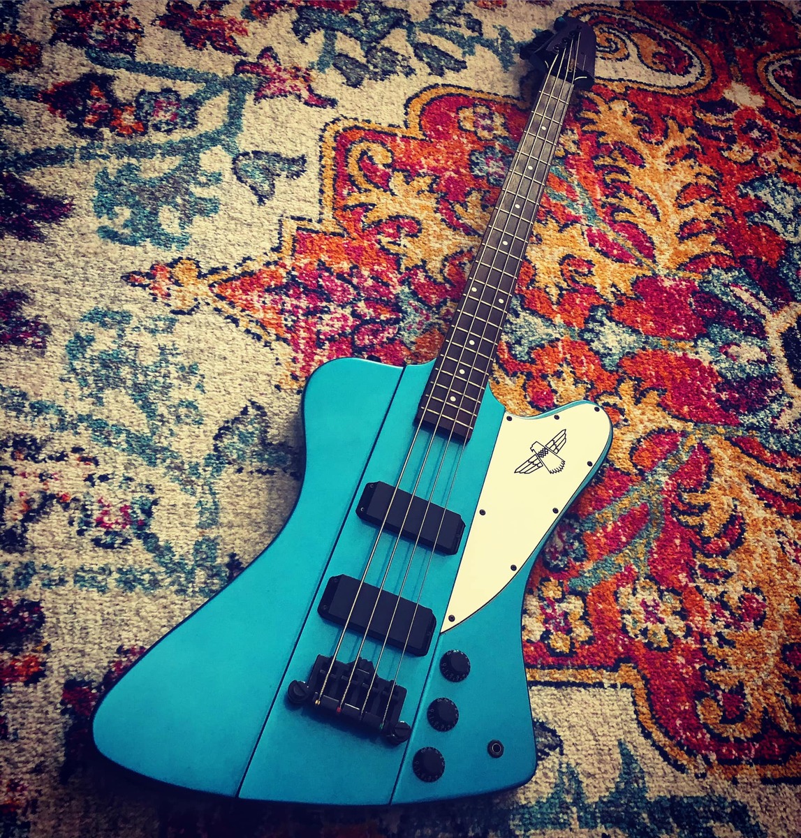 Metal Music Gear Setup by joe_fortunato featuring Epiphone Thunderbird IV