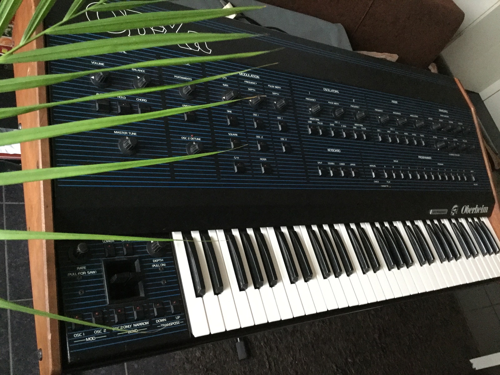 kassander's music gear photo