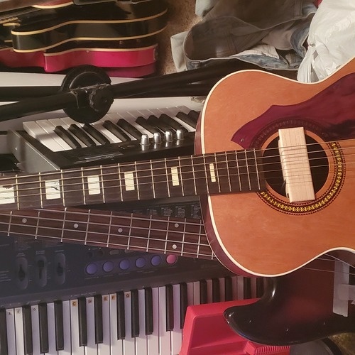 Photo of Silvertone s1212