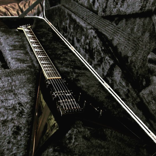 tolgasert's gear photo
