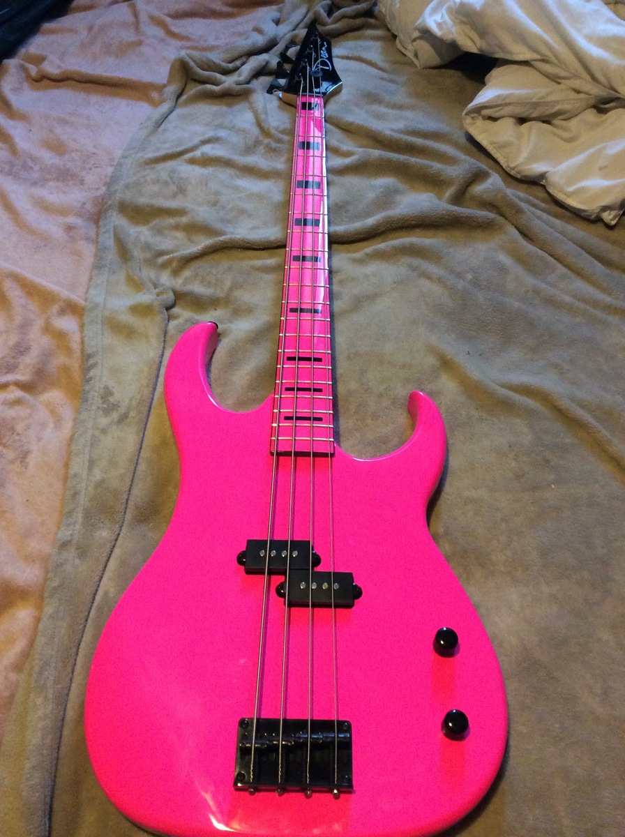 michelegomay's music gear photo