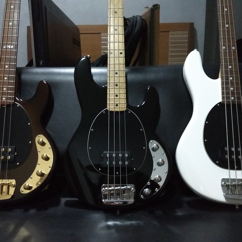 vitormansur's gear photo