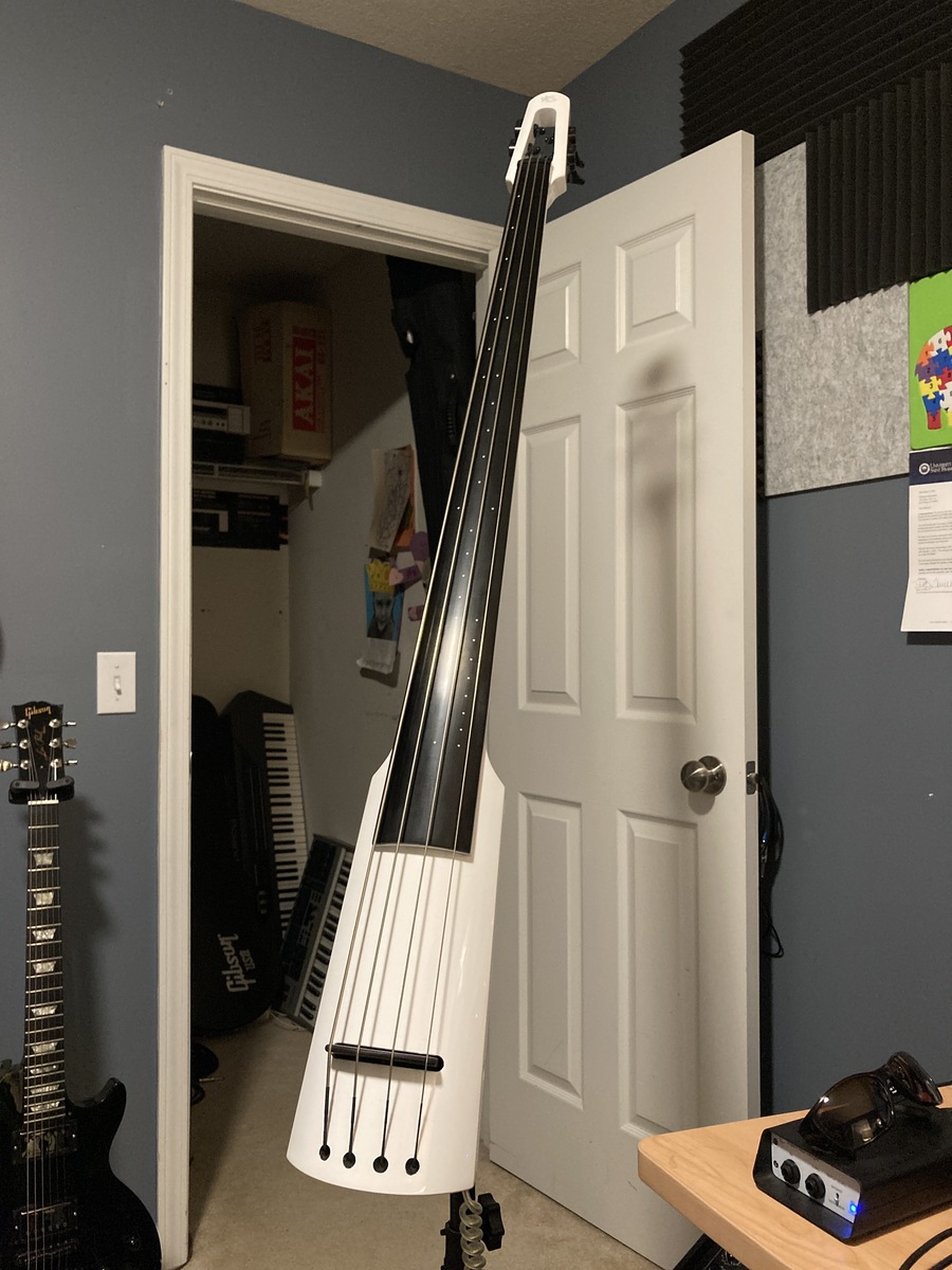 Music Gear Setup by mike_gillenwater featuring NS Wav Bass