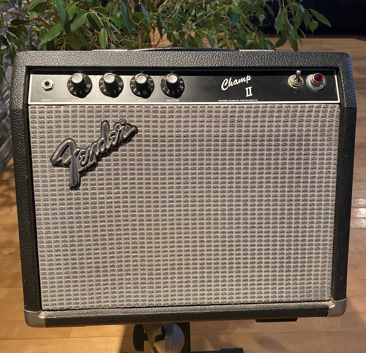 mesagroove's music gear photo