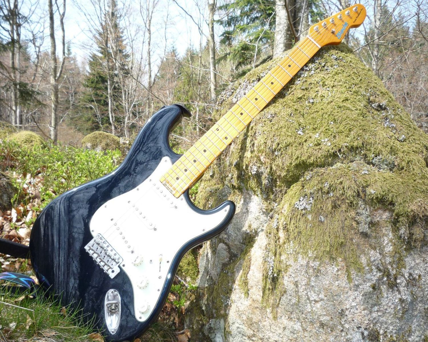 lynchmobylette's music gear photo