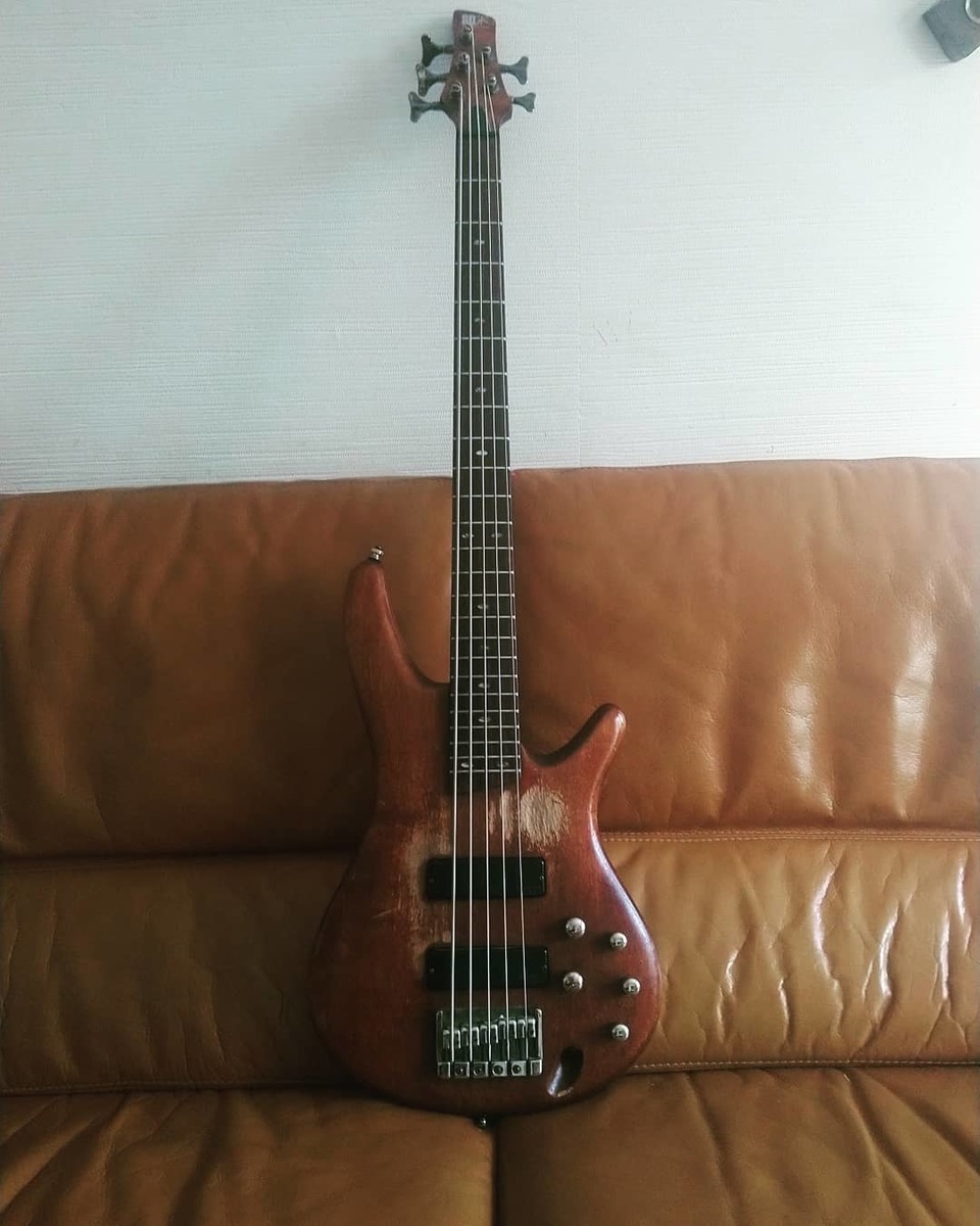Metal Music Gear Setup by alexi_fontaine featuring Ibanez SR505