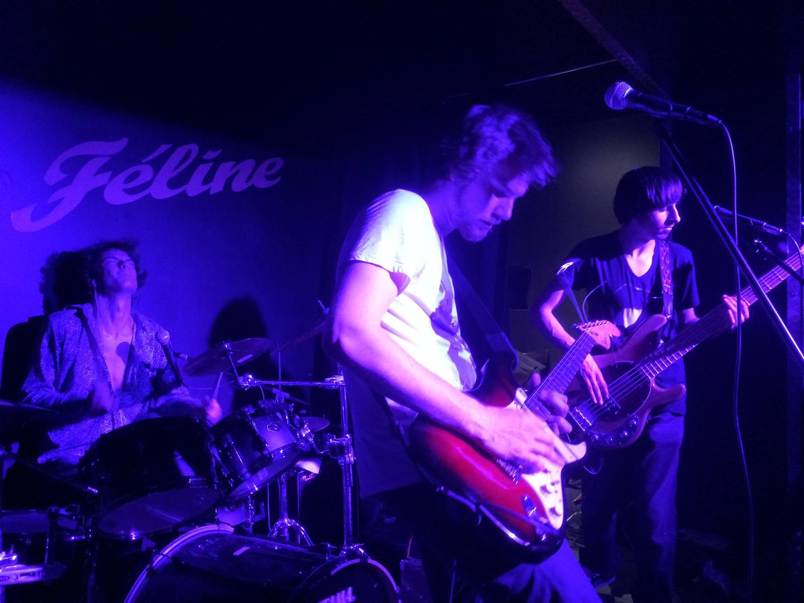 Squier Music Gear Setup by alexi_fontaine featuring Squier Statocater affinity and SX Guitars sbg2
