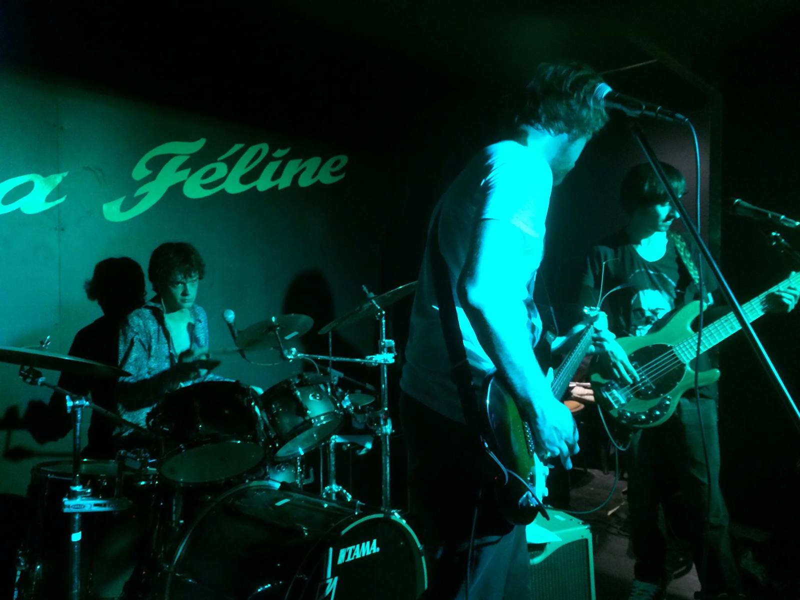 Squier Music Gear Setup by alexi_fontaine featuring Squier Statocater affinity and SX Guitars sbg2