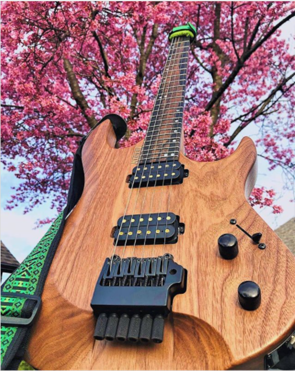 vincebrigliamusic's music gear photo