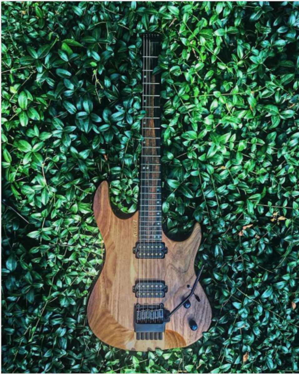 vincebrigliamusic's music gear photo