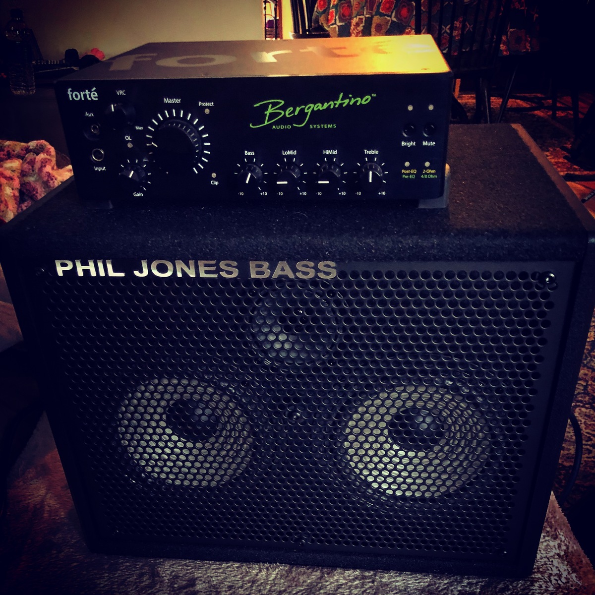 Music Gear Setup by rabblehotchpotch featuring Bergantino Forte bass amplifier