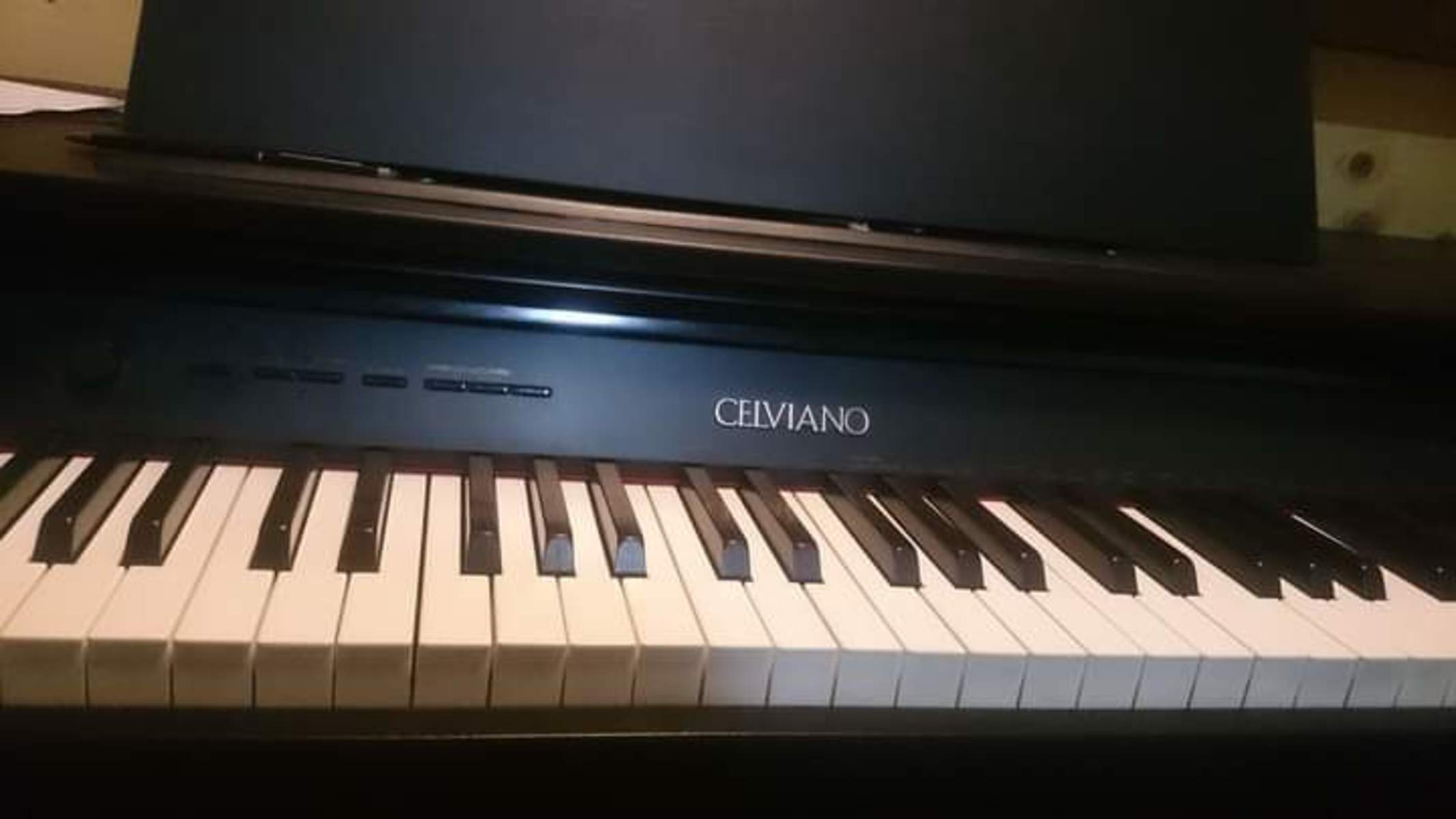 Music Gear Setup by shahrin_shahriar featuring Casio Celviano AP-260