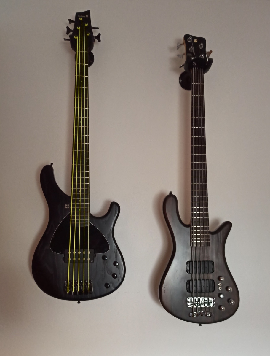 Warwick Music Gear Setup by george_alvarosa featuring Warwick Streamer and Sandberg Basic BKB 5