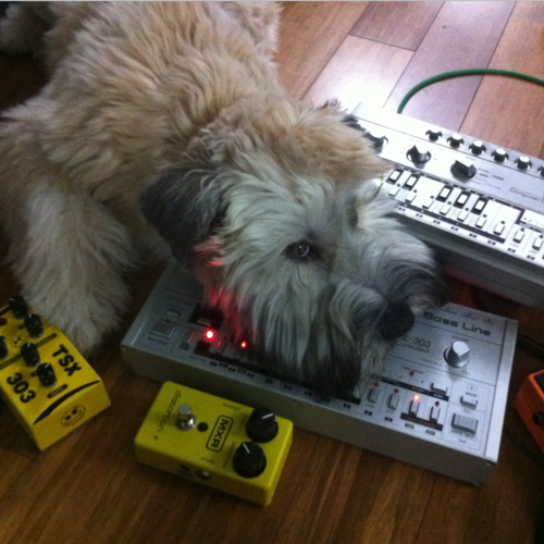 bubbajones's gear photo