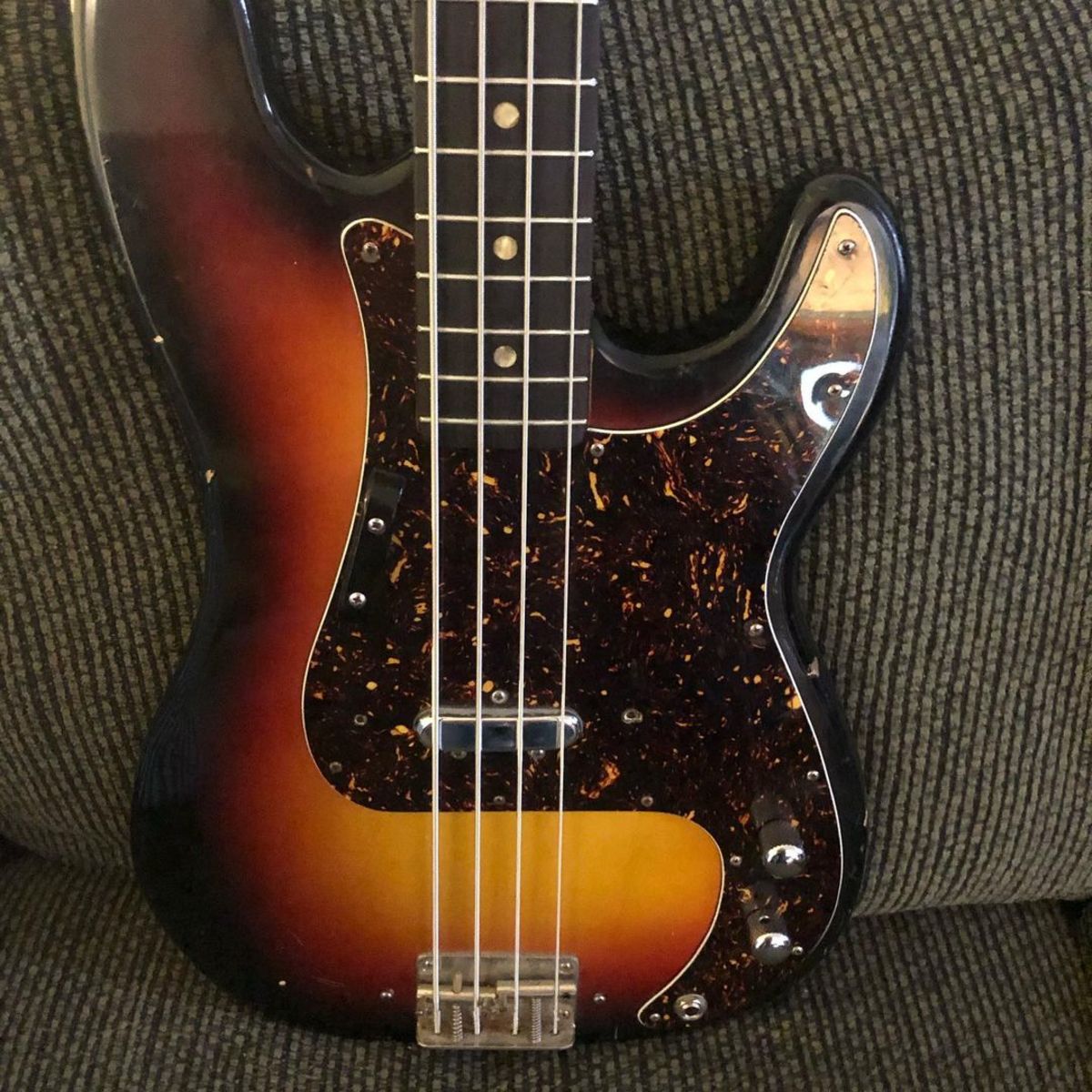 shawntaulicus's music gear photo