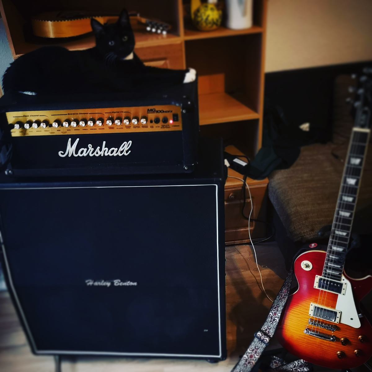 martin_schurer's music gear photo
