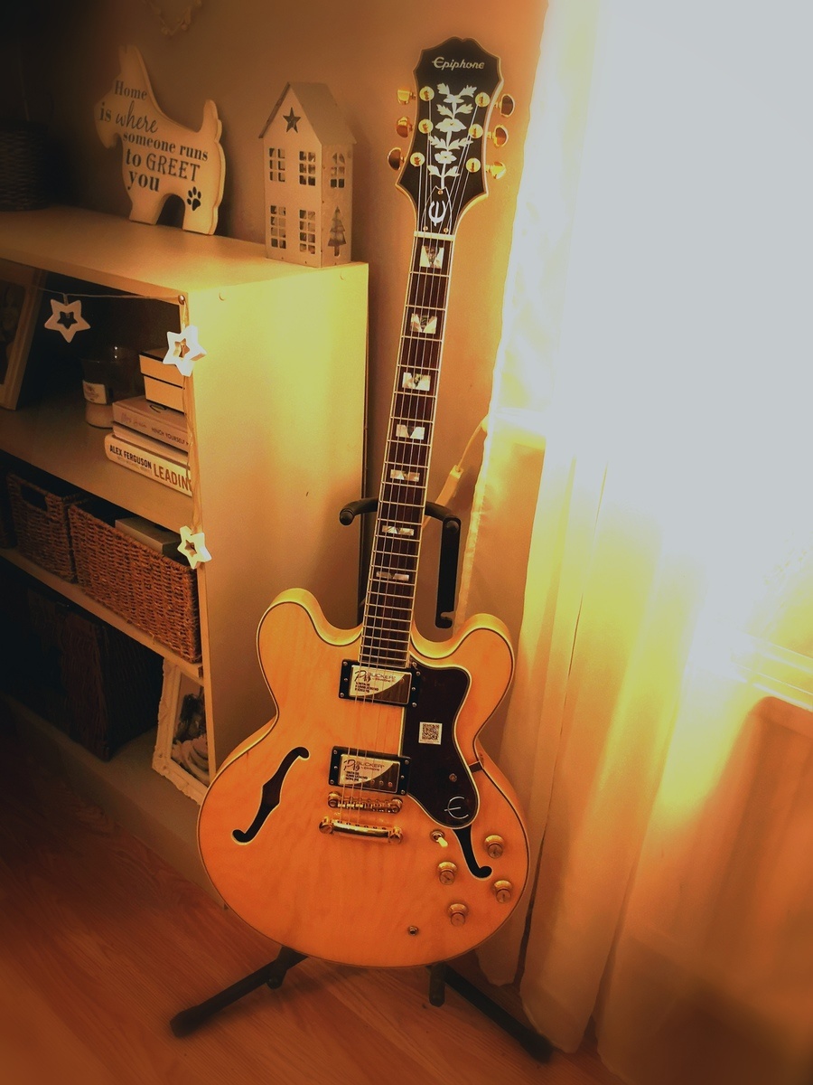 scott_winning's music gear photo