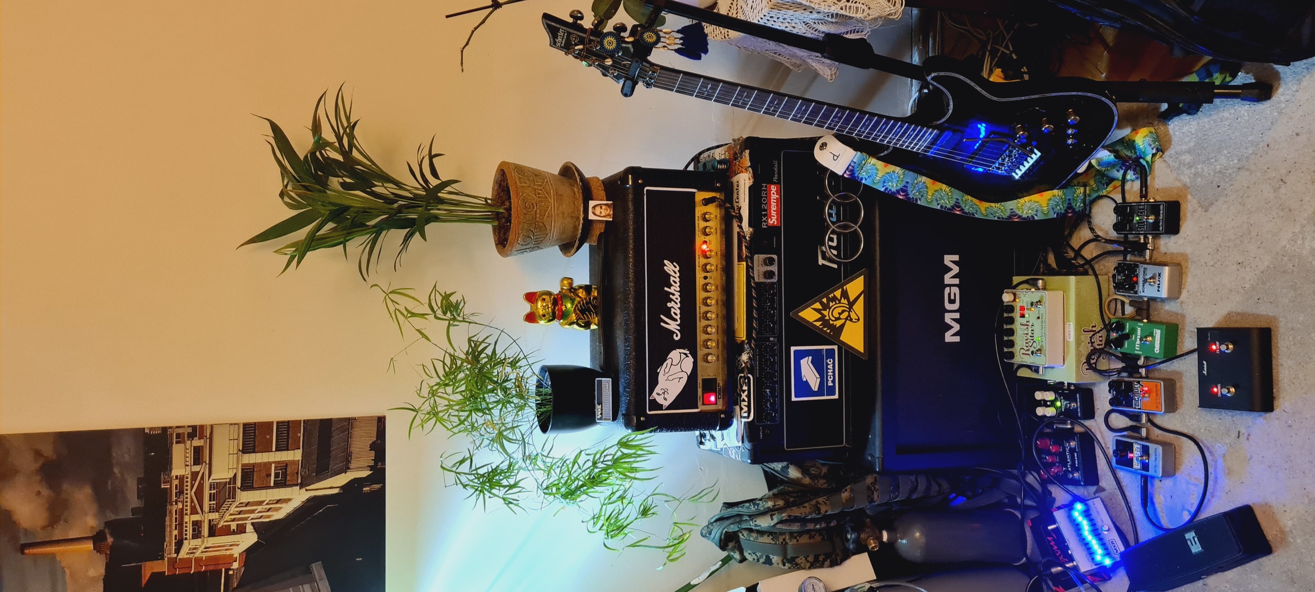 emmetropia's music gear photo