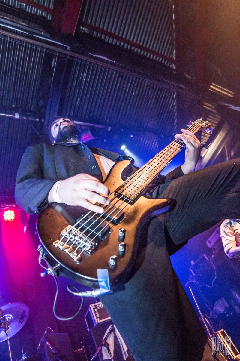 Music Gear Setup by gff featuring Warwick RockBass Streamer Standard 5-String Bass Guitar