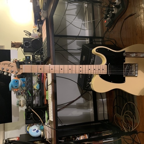 mburridgemusic's gear photo