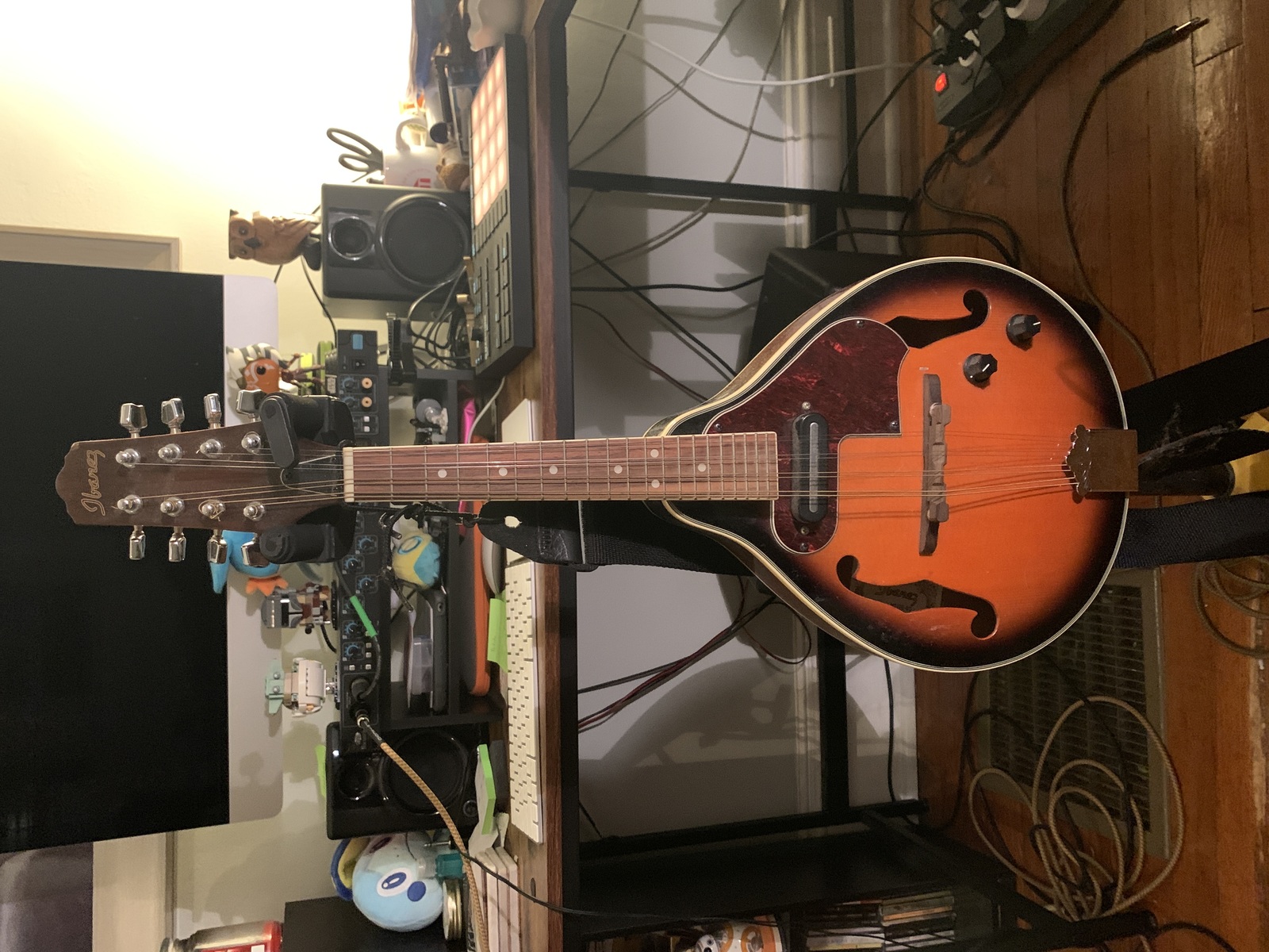 mburridgemusic's music gear photo